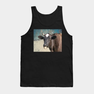 Cow Print Funny Cows Tongue Distressed Farm Gift for Cow Lovers Tank Top